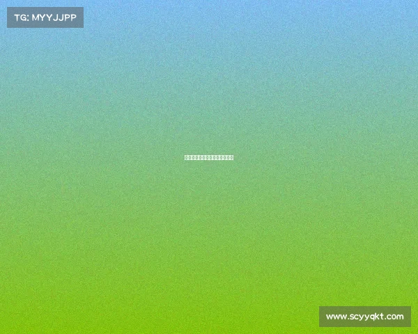 快船队关键三分球助力比赛胜利