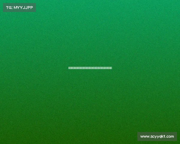 热身赛前瞻:库里、布克与詹姆斯如何塑造美国男篮的胜利方程式